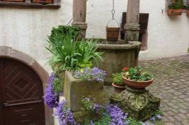 Bed and Breakfast in Riquewihr, 0%
