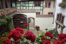 Bed and Breakfast in Riquewihr, 0%