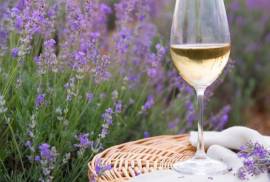 Kleines Apartement mit Charme, 15%