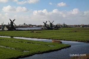 Netherlands: From Tulips to Canals — A Full Travel Guide
