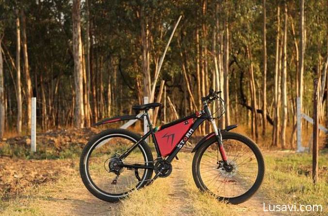 The Complete Guide to Electric Bikes: Pros, Cons, Costs, and Trends